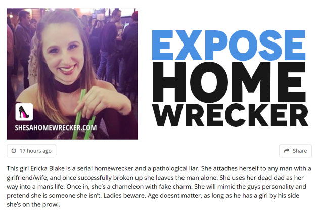 She's a Home Wrecker Website Preview Image
